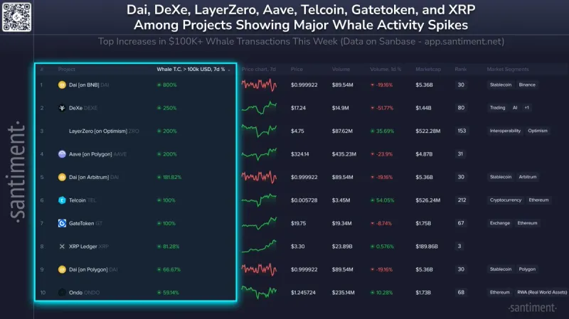 Reading the Blockchain Before the Crowd: How to Identify Whale and Institutional Moves Hours Ahead of the Market